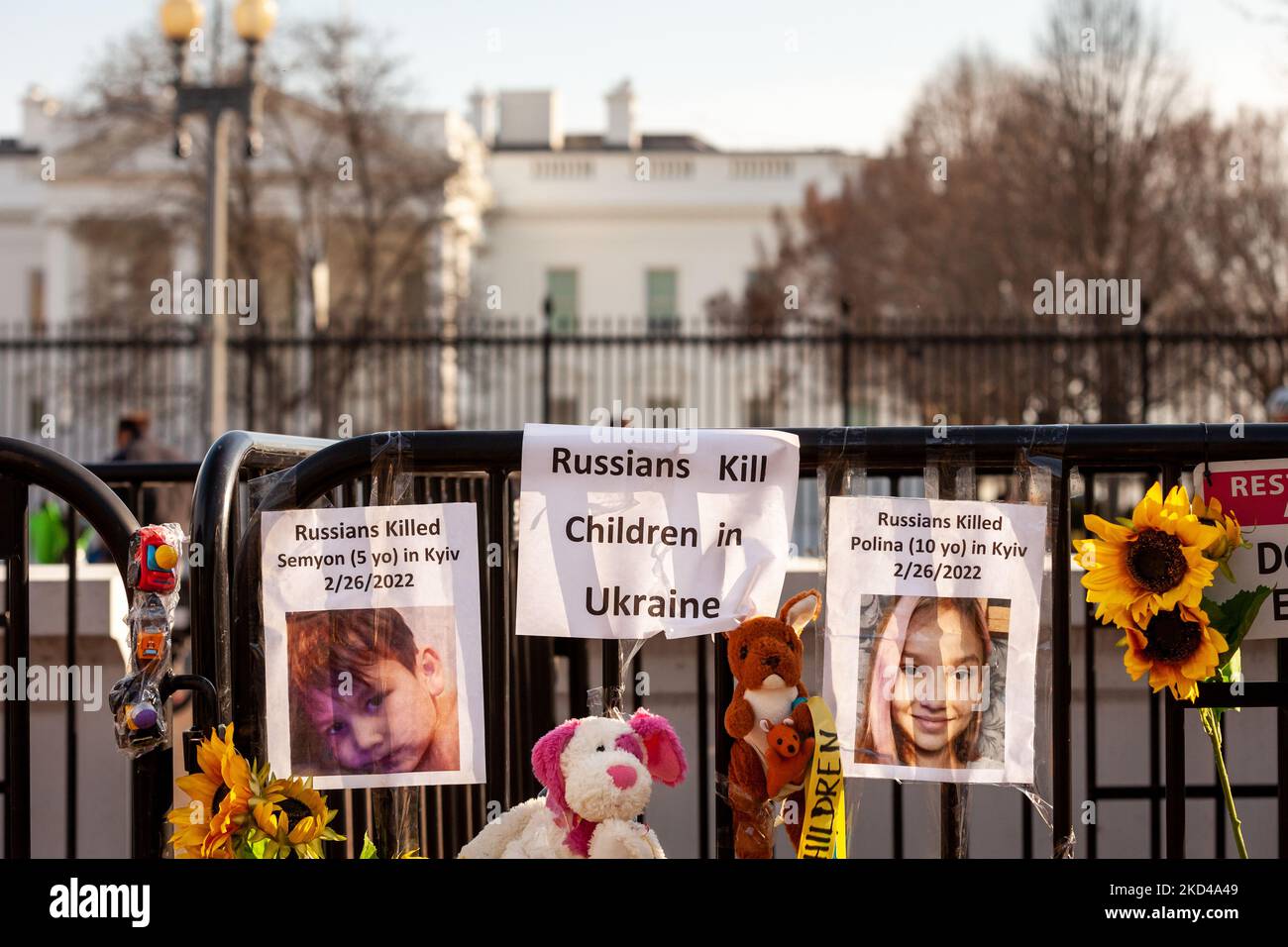 Photos of children killed in Ukraine hang on a fence during a rally White House. This is reminiscent of how the now-famous Black Lives Memorial Fence began. Hundreds of people gathered to demand a NATO no-fly zone and military assistance for Ukraine. This is the 10th consecutive day of demonstrations at the White House for Ukraine. (Photo by Allison Bailey/NurPhoto) Stock Photo