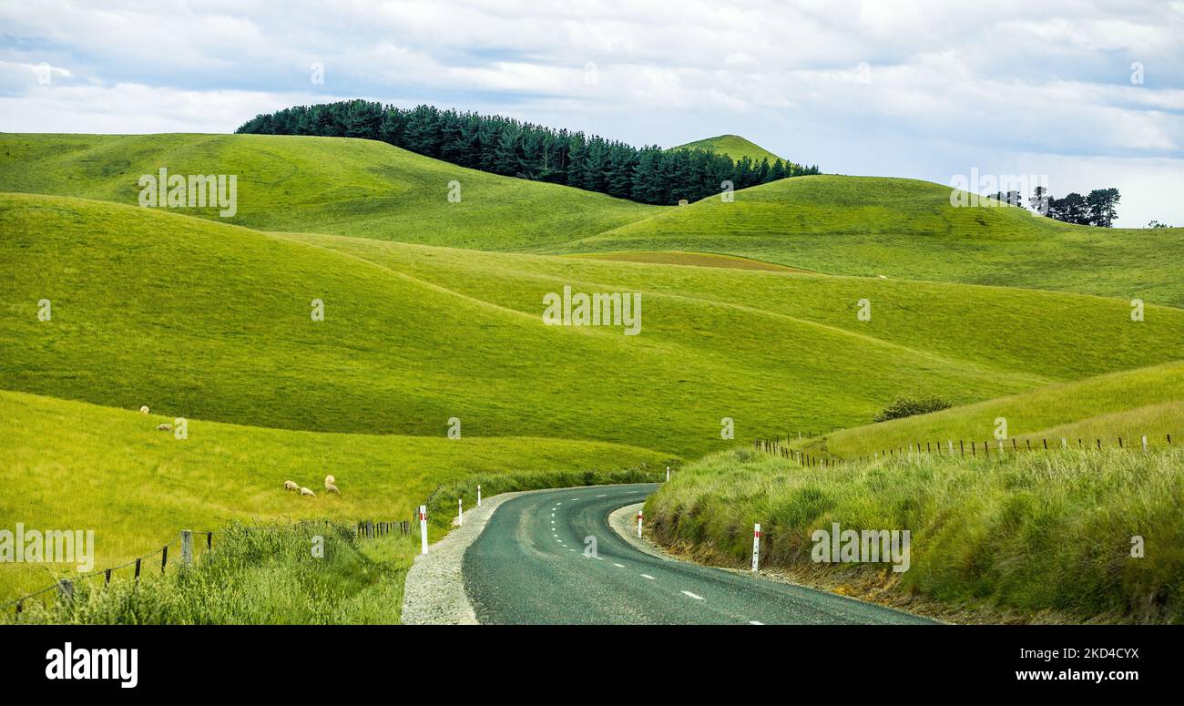 A road passing through beautiful rolling meadows, the Backroads of New