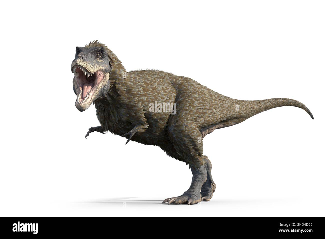 Tyrannosaurus rex dinosaur, illustration Stock Photo