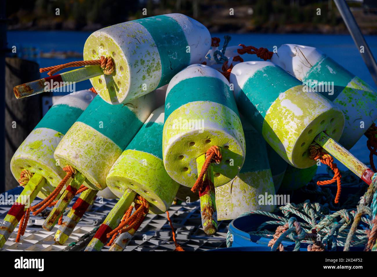 Yellow and green lobster trap float on the dock at Lepreau, NB Stock