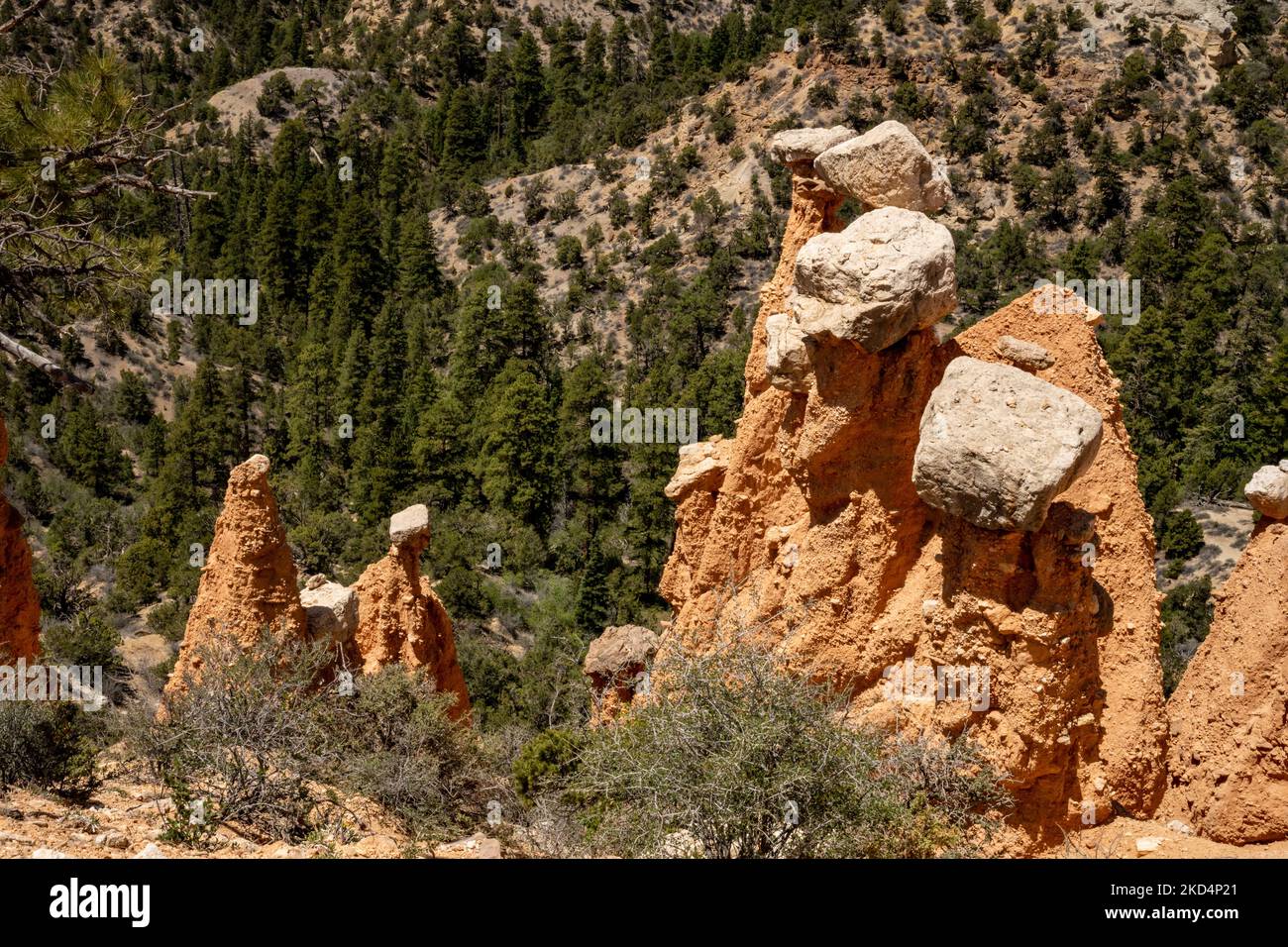 Formations in the Hat Shop along the Under the Rim Trail in Bryce ...