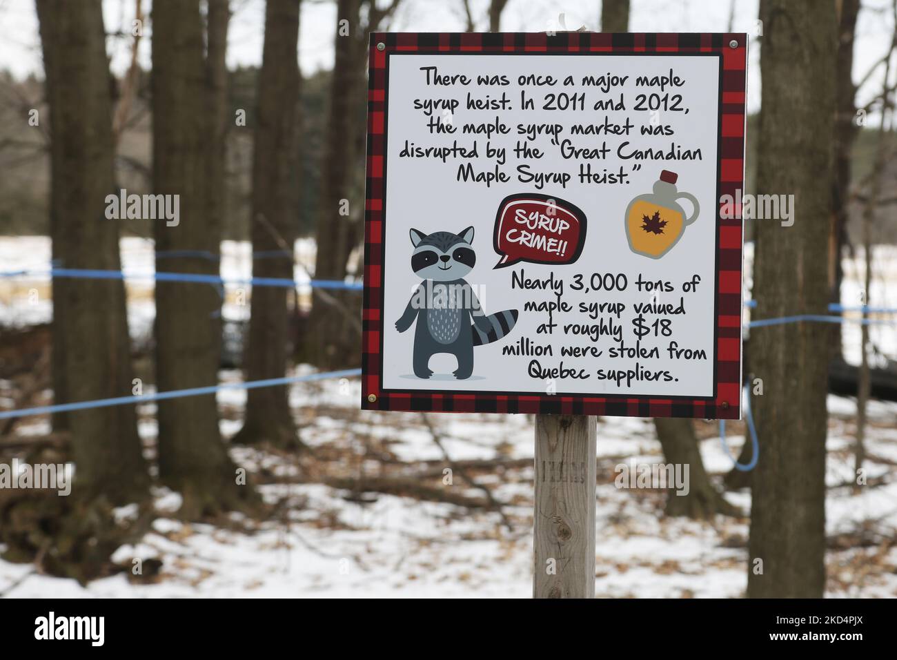 Canadian maple syrup heist hires stock photography and images Alamy