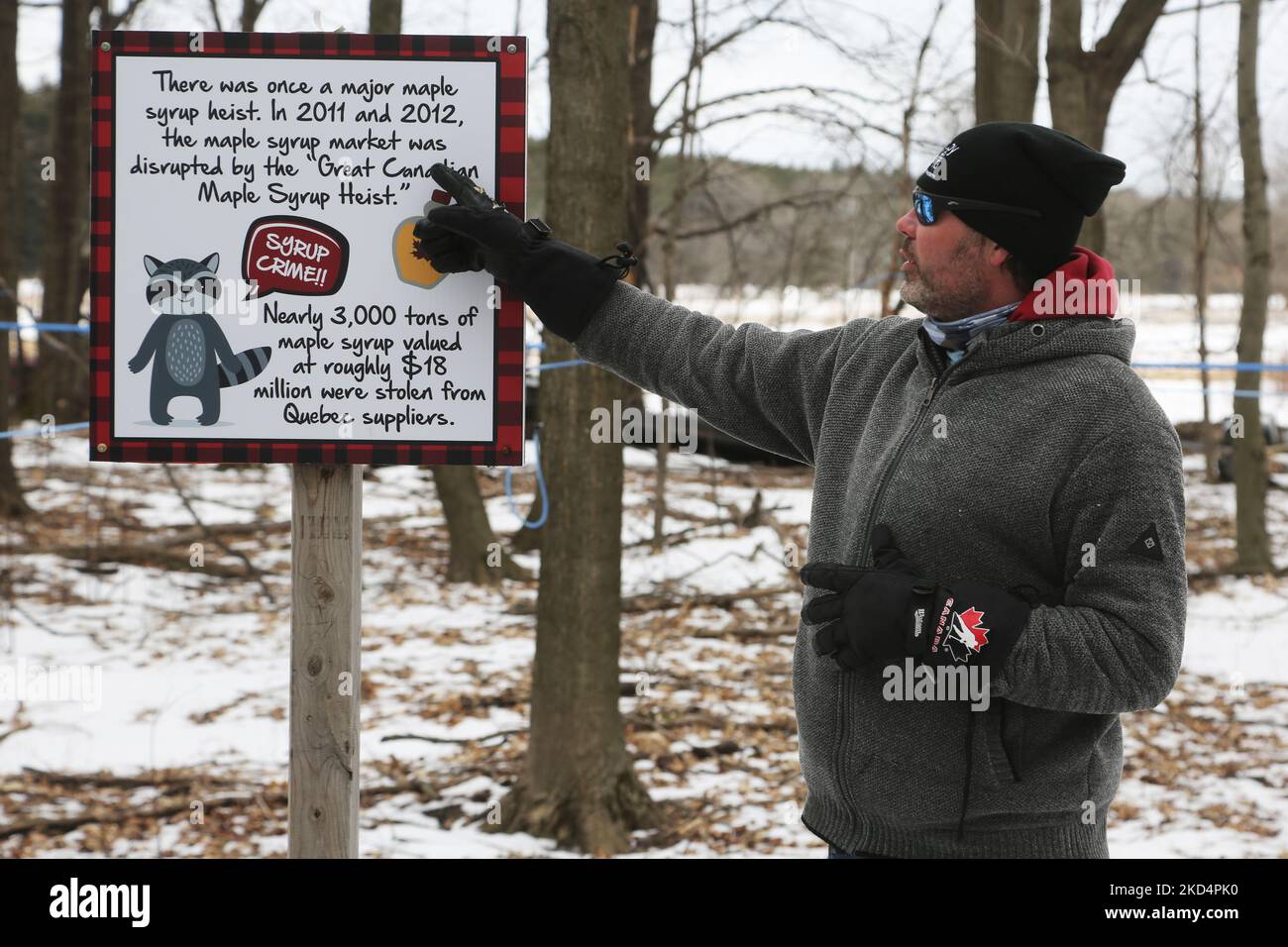 Farmer explaining about the 'Great Maple Syrup Heist' as visitors walk through the sugarbush at a maple syrup farm during the Maple Sugar Festival in Mount Albert, Ontario, Canada, on March 05, 2022. The Maple Sugar Festival celebrates maple syrup production and products made with maple syrup and takes part at many maple syrup producing farms across Ontario and Quebec. Maple syrup is only produced in North America. (Photo by Creative Touch Imaging Ltd./NurPhoto) Stock Photo