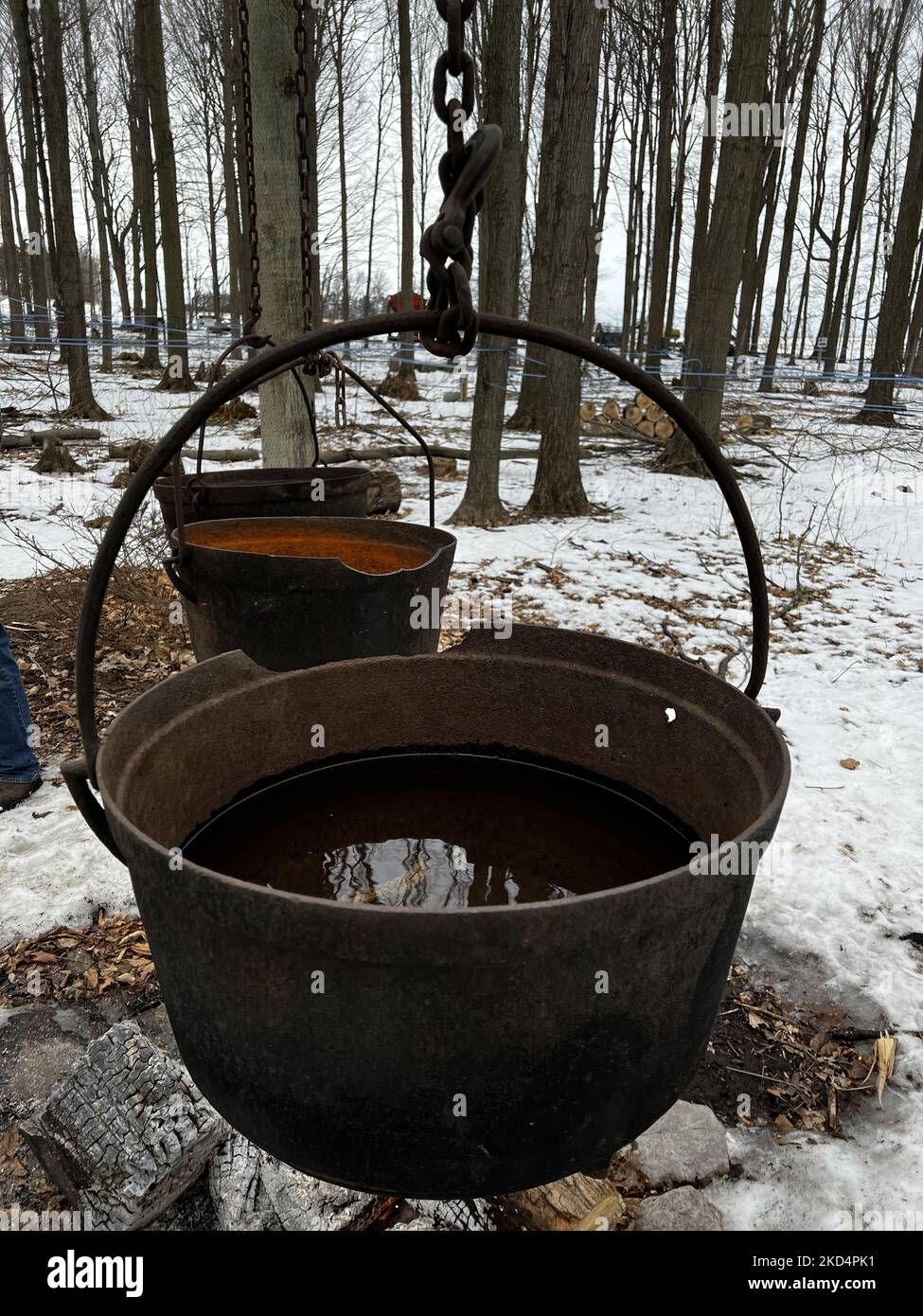 Large cast iron pots show how maple syrup was made during the Pioneer