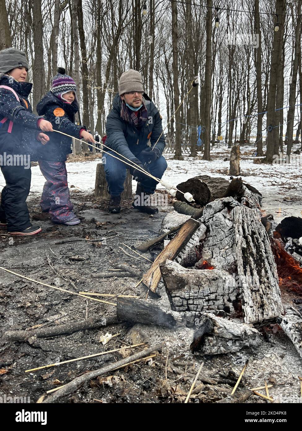 People toasting marshmallows by a small campfire while visiting the sugarbush at a maple syrup farm during the Maple Sugar Festival in Mount Albert, Ontario, Canada, on March 05, 2022. The Maple Sugar Festival celebrates maple syrup production and products made with maple syrup and takes part at many maple syrup producing farms across Ontario and Quebec. Maple syrup is only produced in North America. (Photo by Creative Touch Imaging Ltd./NurPhoto) Stock Photo