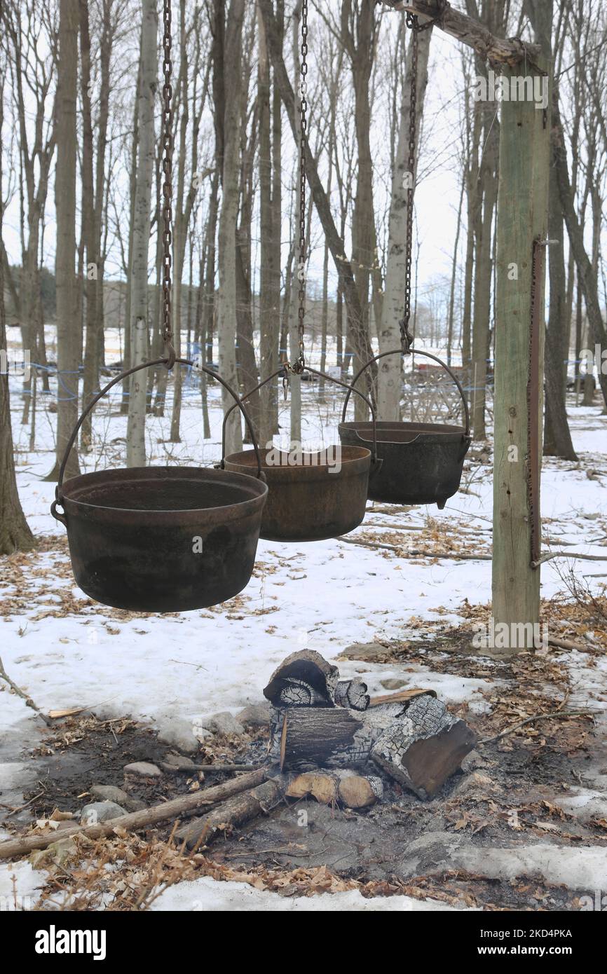 Large cast iron pots show how maple syrup was made during the Pioneer Era at a maple syrup farm during the Maple Sugar Festival in Mount Albert, Ontario, Canada, on March 05, 2022. The Maple Sugar Festival celebrates maple syrup production and products made with maple syrup and takes part at many maple syrup producing farms across Ontario and Quebec. Maple syrup is only produced in North America. (Photo by Creative Touch Imaging Ltd./NurPhoto) Stock Photo