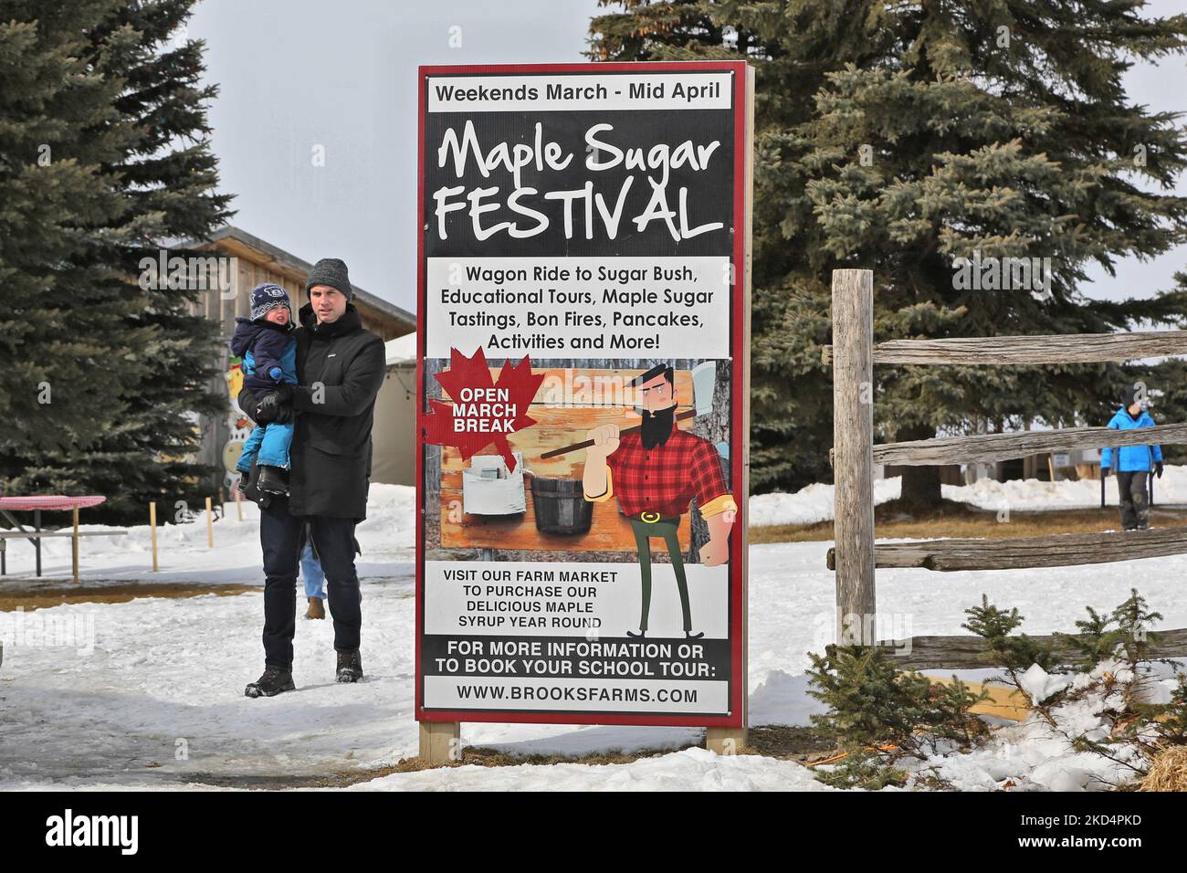 Vacuum maple sap lines hires stock photography and images Alamy