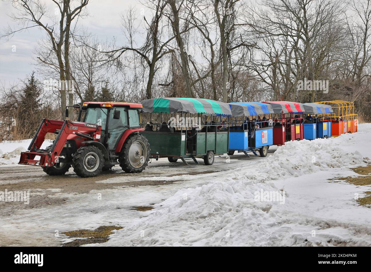 Visitors ride in cars attached to a tractor to take them to the sugarbush at a maple syrup farm during the Maple Sugar Festival in Mount Albert, Ontario, Canada, on March 05, 2022. The Maple Sugar Festival celebrates maple syrup production and products made with maple syrup and takes part at many maple syrup producing farms across Ontario and Quebec. Maple syrup is only produced in North America. (Photo by Creative Touch Imaging Ltd./NurPhoto) Stock Photo