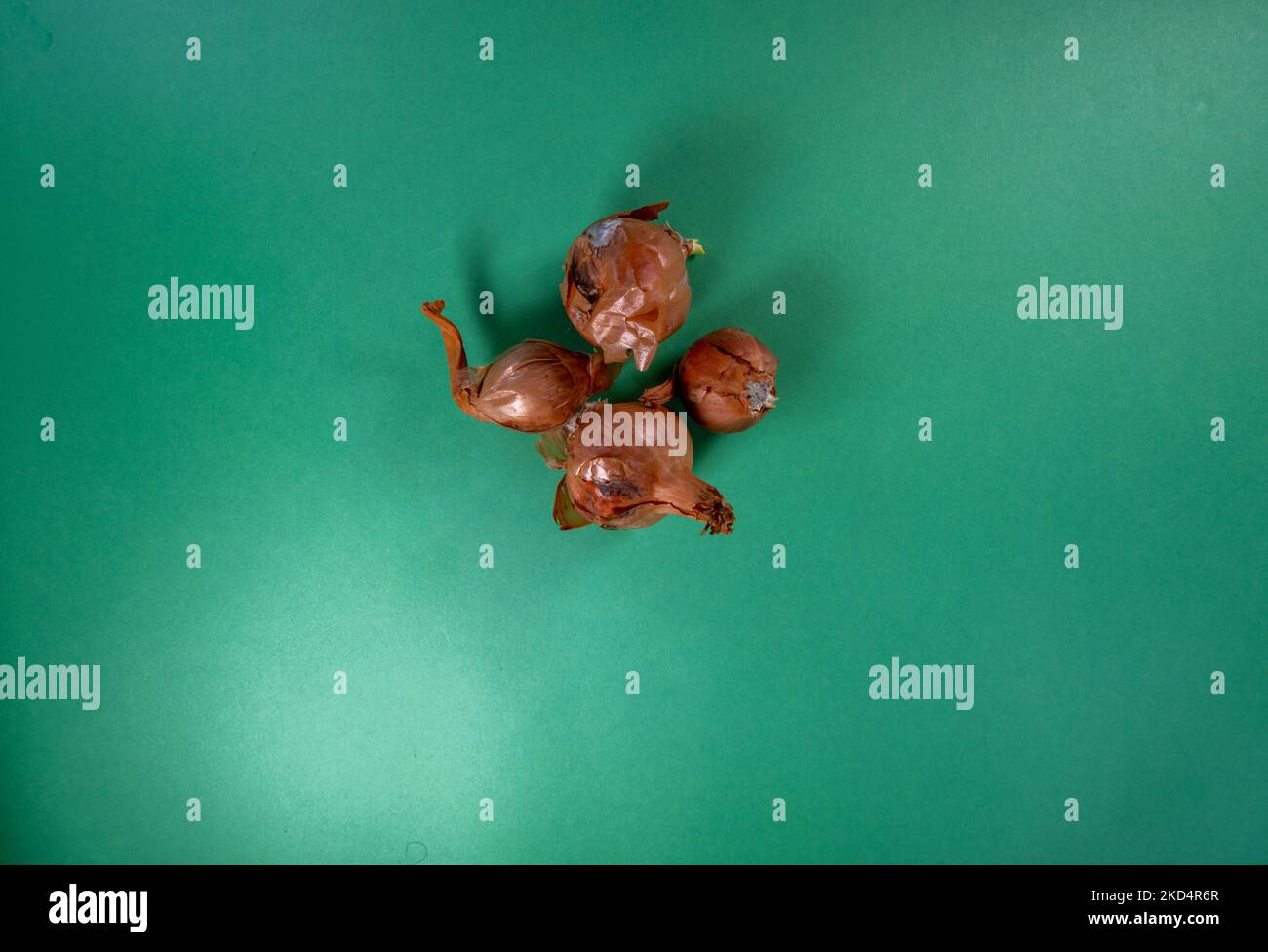 four old and rotten charlottes isolated on a dark green background Stock Photo