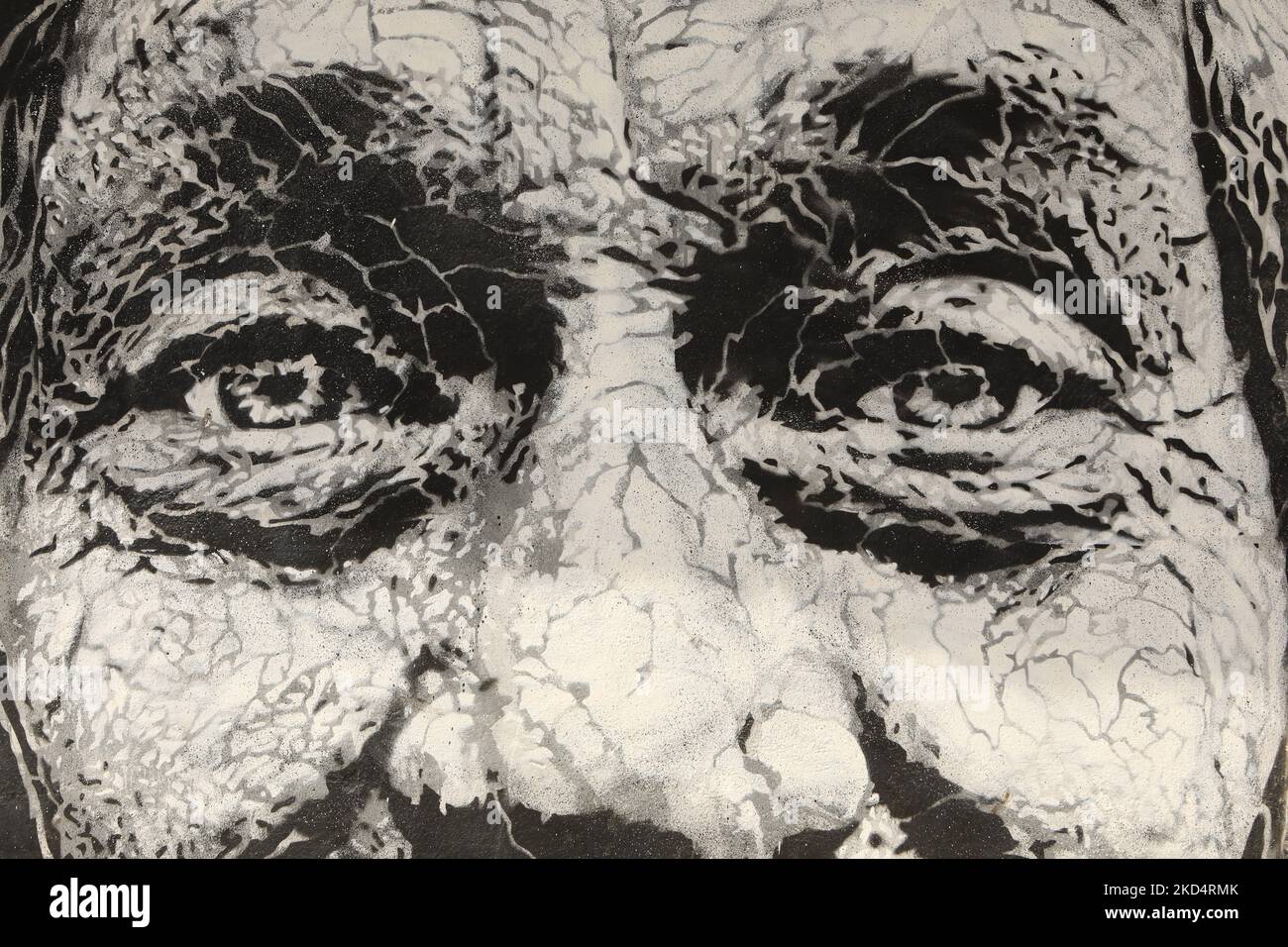 Street Art. Close up of a old mans face on a mural in old town Lagos, Algarve, Portugal Stock Photo