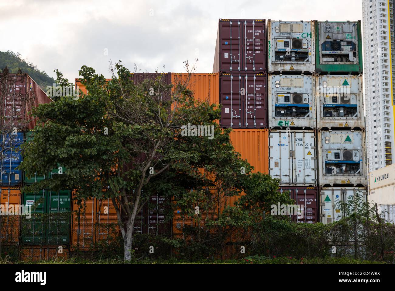Containers are piled up in a warehouse in Tsing Yi. On the right, refrigerated containers ('reefers') can be seen, in Hong Kong, China, on Mar 12, 2022. (Photo by Marc Fernandes/NurPhoto) Stock Photo