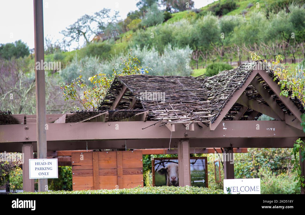 The entrance and roof structure to a building at the Benziger vineyard ...