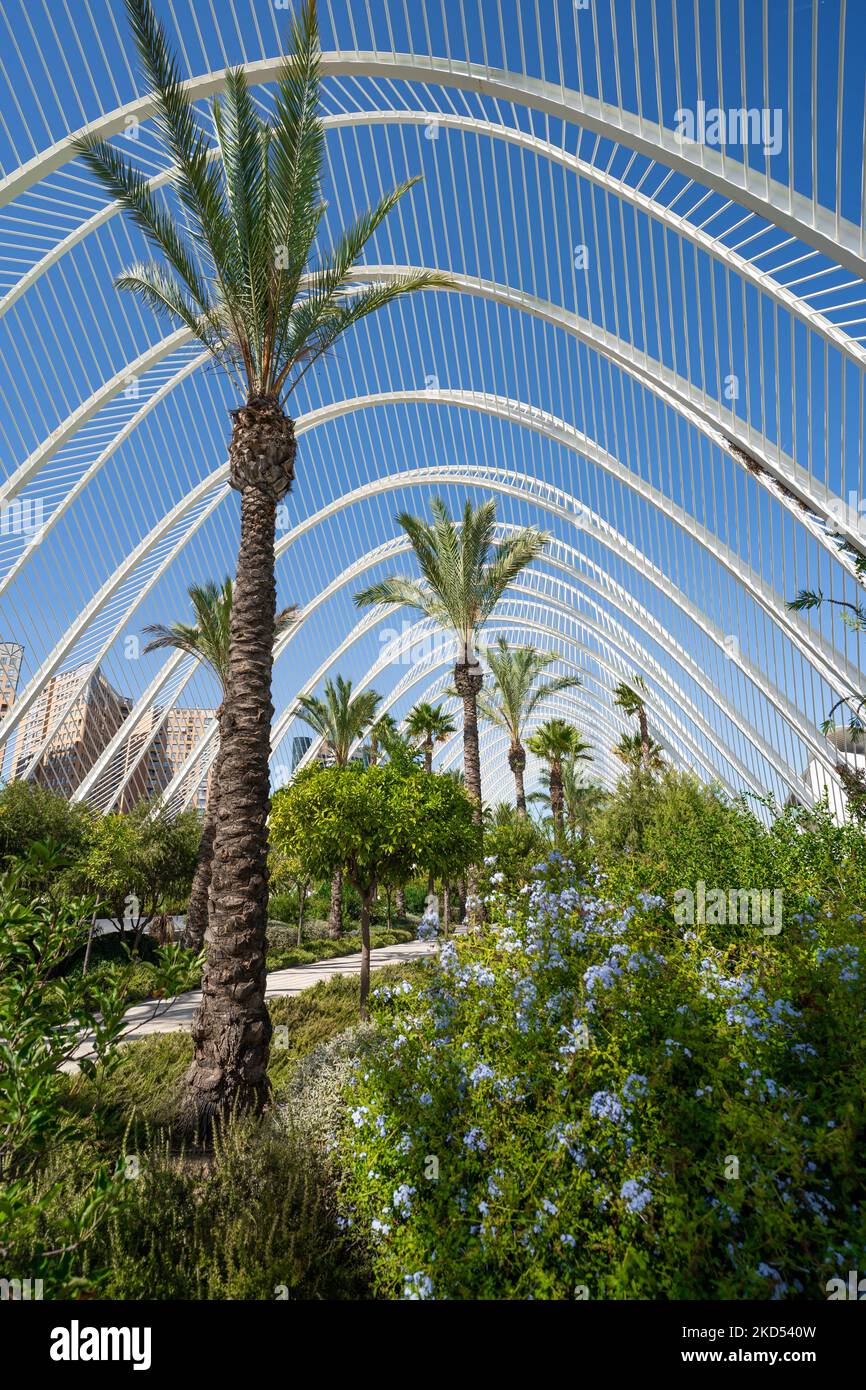 A vertical shot of L'Umbracle in Valencia, Spain, with green trees ...