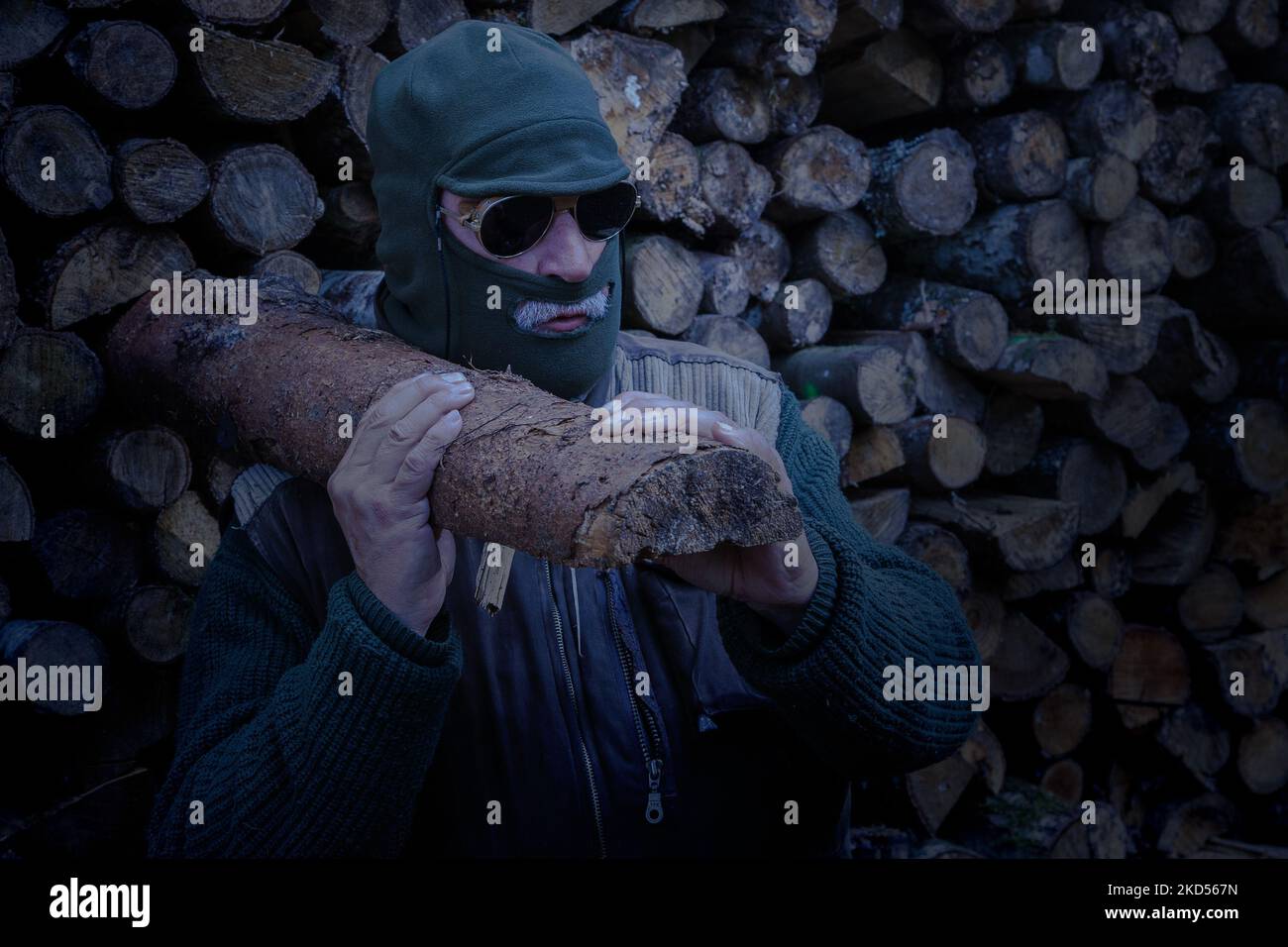 In the moonlight the wood thief steals firewood in the forest Stock ...