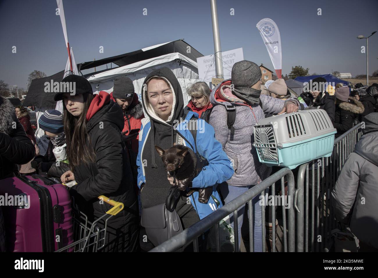 Ukrainians with pets wait at the long lines, formed as Ukranian