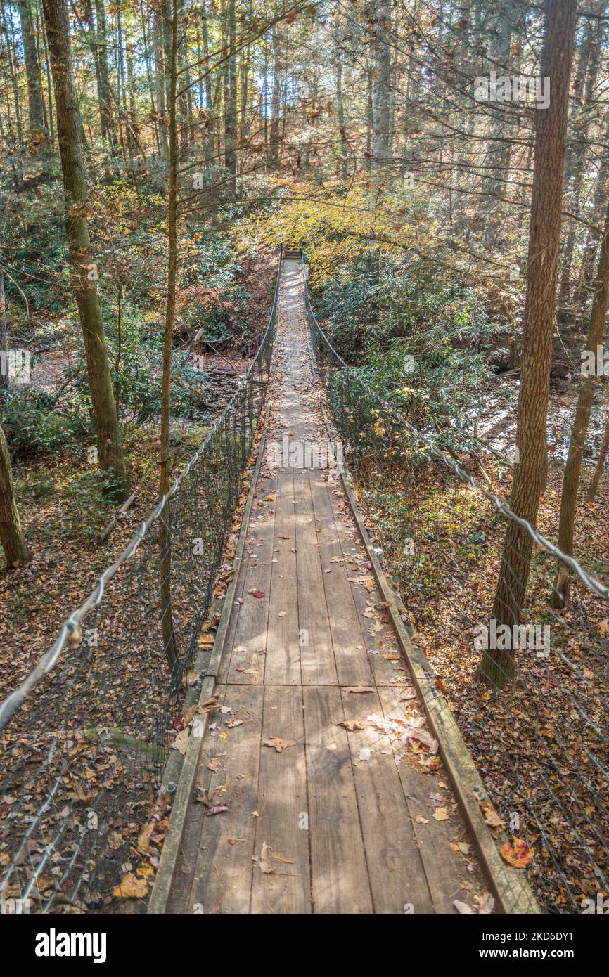 A very long wooden suspension bridge crossing over a creek through the forest in autumn Stock Photo