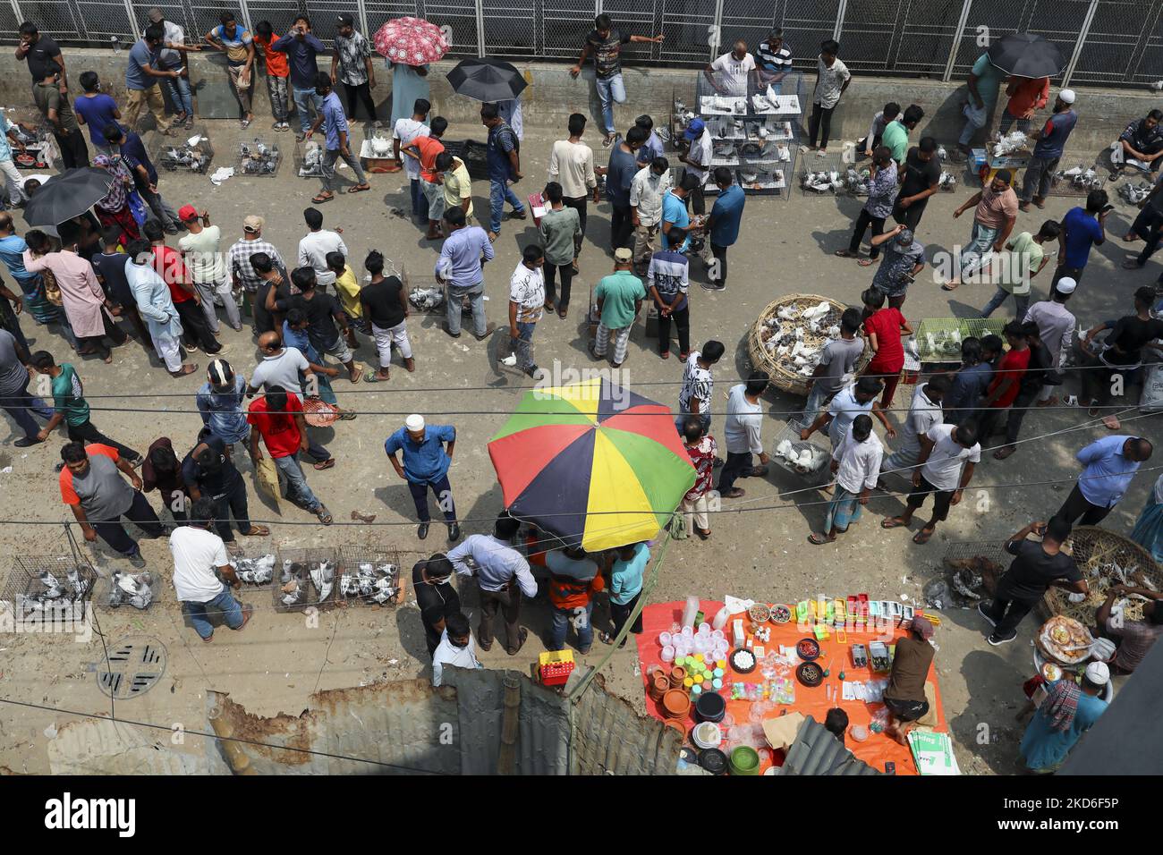 A weekly pigeon market is held under the Mayor Hanif flyover in every Friday at Kaptan Bazar in Dhaka, Bangladesh om April 01, 2022 . It is the largest and most popular pigeon market in the capital. (Photo by Kazi Salahuddin Razu/NurPhoto) Stock Photo