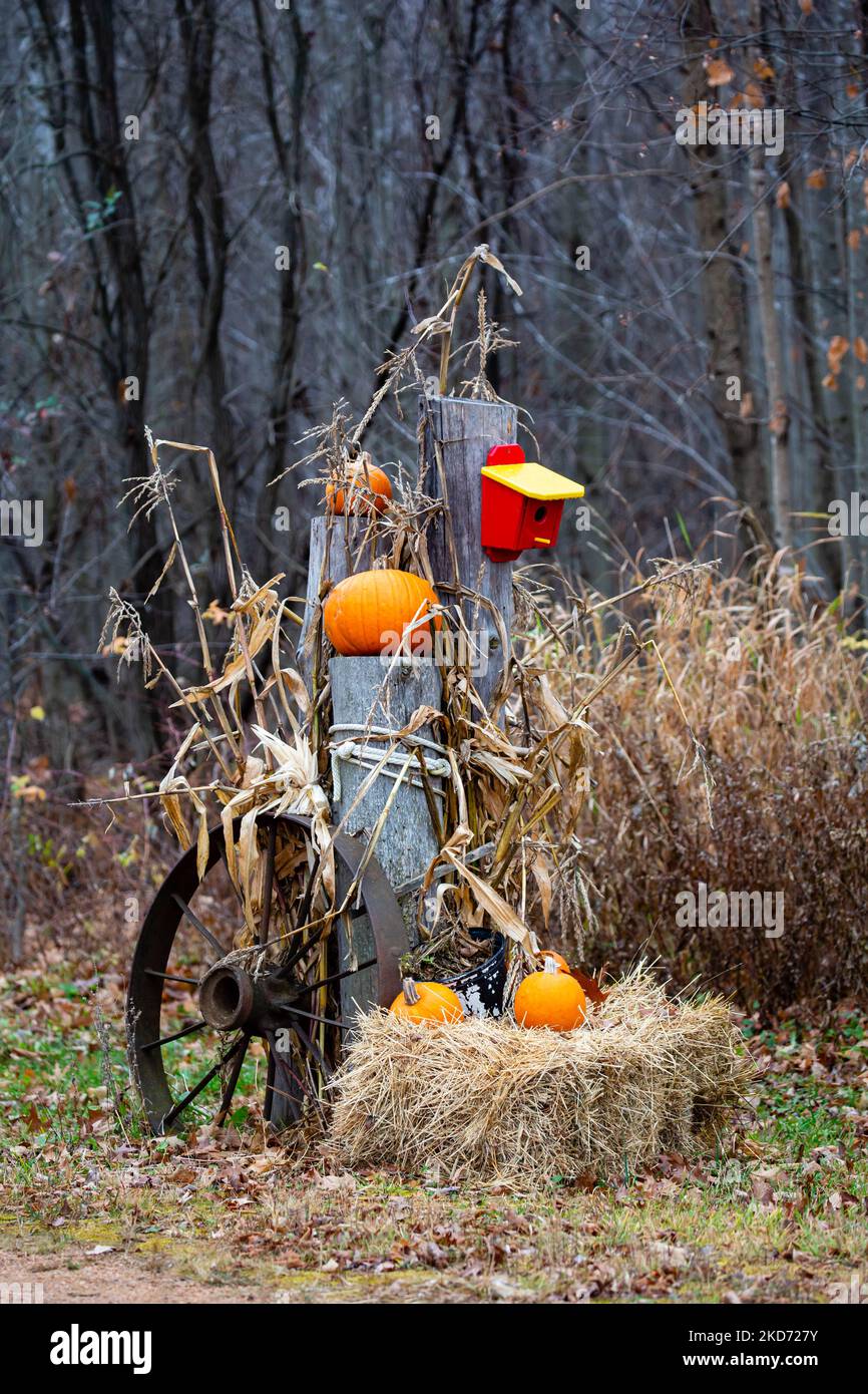 Pumpkin decoration for autumn in Wisconsin, vertical Stock Photo