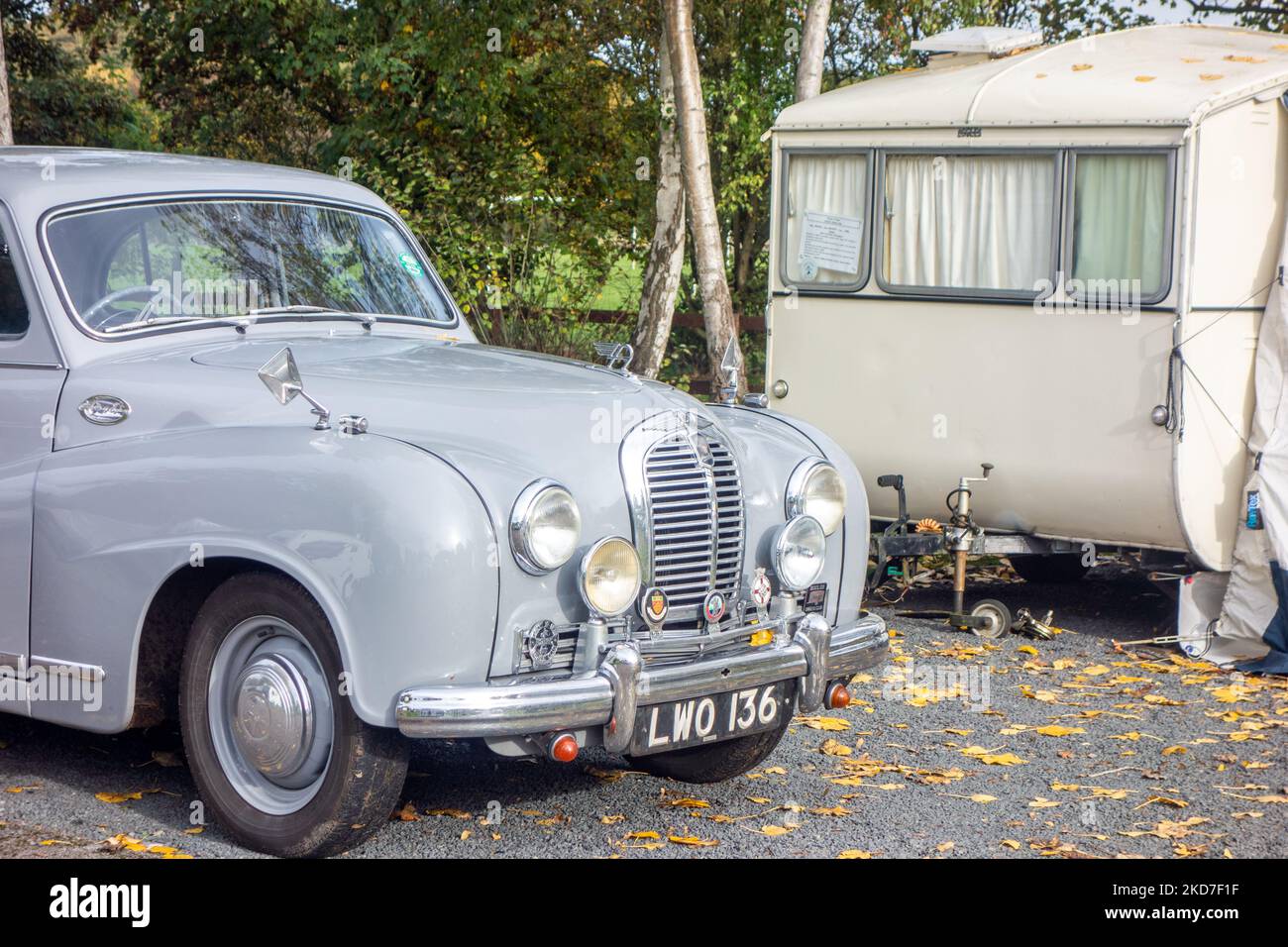 1953 Austin A70 2200c classic vintage motor car still being used to tow an Eccles Bounty caravan from 1956 Stock Photo