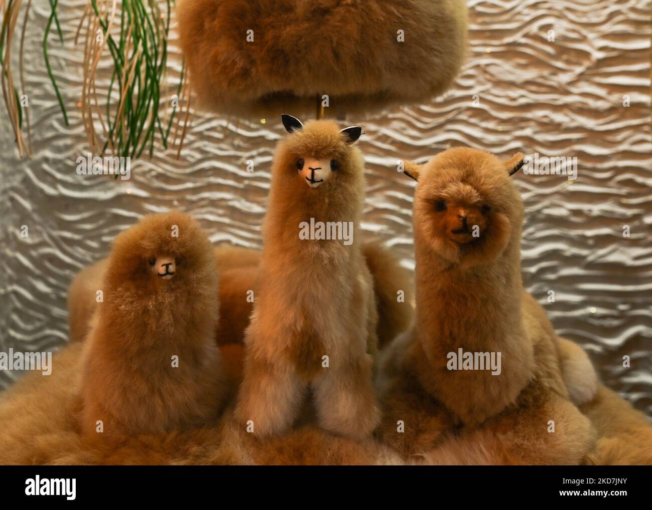 Vicuna toys hi-res stock photography and images - Alamy