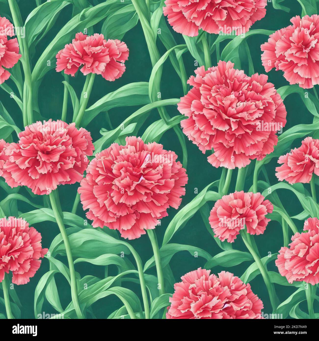 Carnation botanical illustration hires stock photography and images Alamy