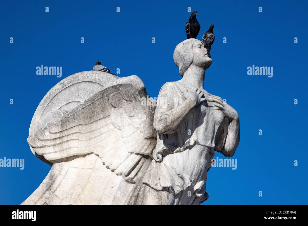 Pigeons fly around Columbus Fountain at Union Station in Washington, D.C. on April 15, 2022, as news breaks that Amtrak will attempt to control the nation's second-busiest travel hub via eminent domain (Photo by Bryan Olin Dozier/NurPhoto) Stock Photo