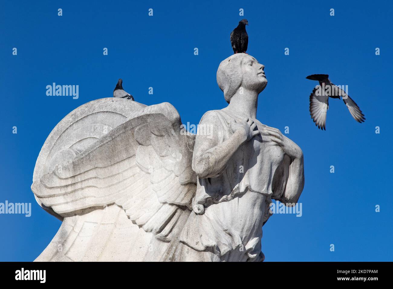 Pigeons fly around Columbus Fountain at Union Station in Washington, D.C. on April 15, 2022, as news breaks that Amtrak will attempt to control the nation's second-busiest travel hub via eminent domain (Photo by Bryan Olin Dozier/NurPhoto) Stock Photo