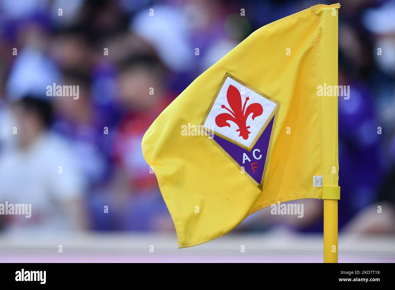 ACF Fiorentina, Fiorentina Flag in Round Shape Isolated with Four Different  Waving Style, Bump Texture, 3D Rendering 24797922 PNG