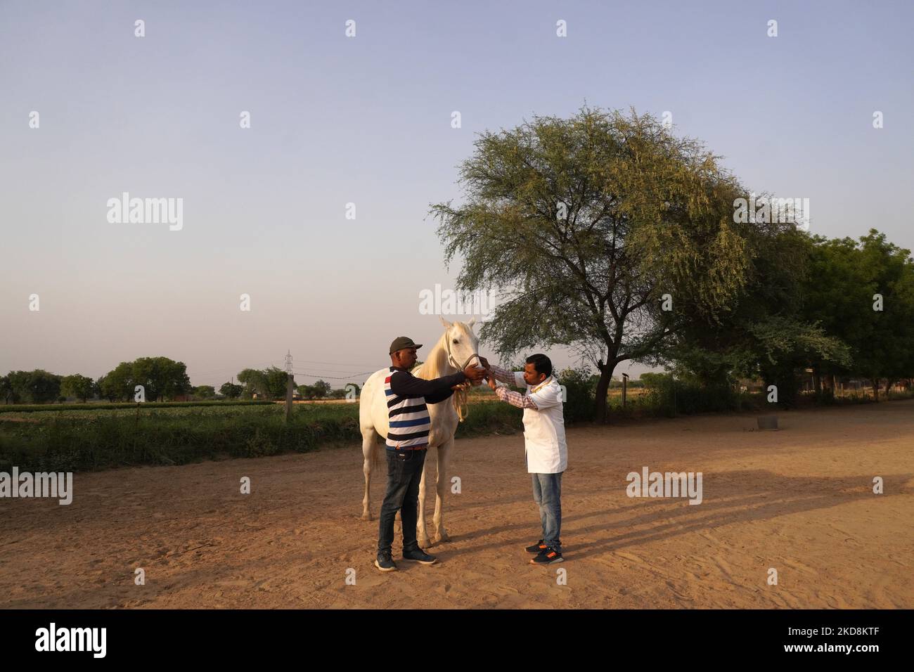 Friendicoes animal hospital hi-res stock photography and images - Alamy Friendicoes animal hospital hi-res stock photography and images - Alamy