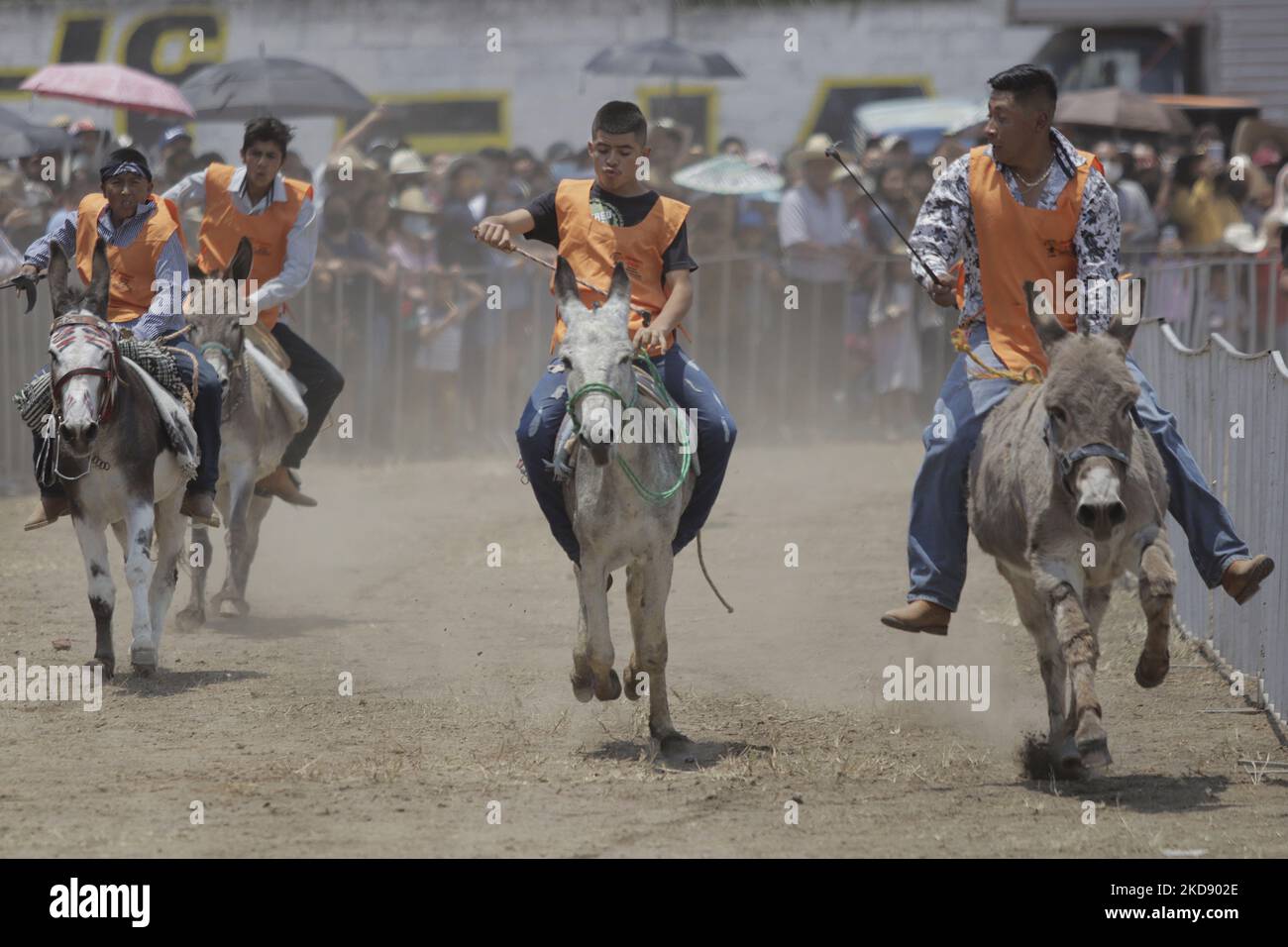 Donkey race at the Donkey Fair on the occasion of International Labour ...