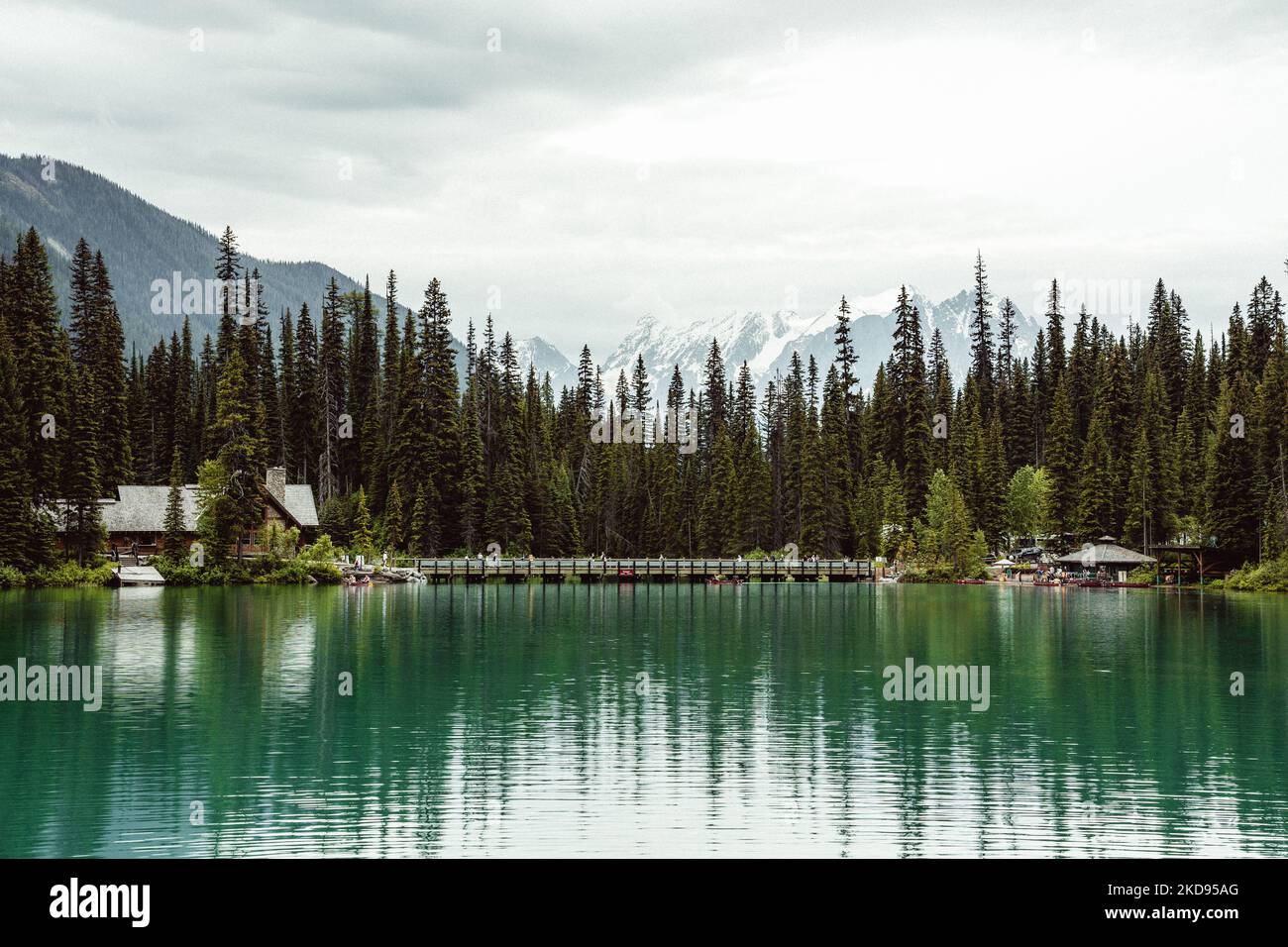 A beautiful scenery of a lake with spruce trees and cloudy sky Stock ...