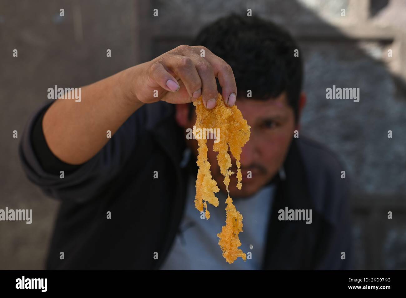 A man holds fish eggs at a stand with dried seafood for sale outside San Pedro market in Cusco. On Friday, 15 April, 2022, in Cusco, Peru. (Photo by Artur Widak/NurPhoto) Stock Photo