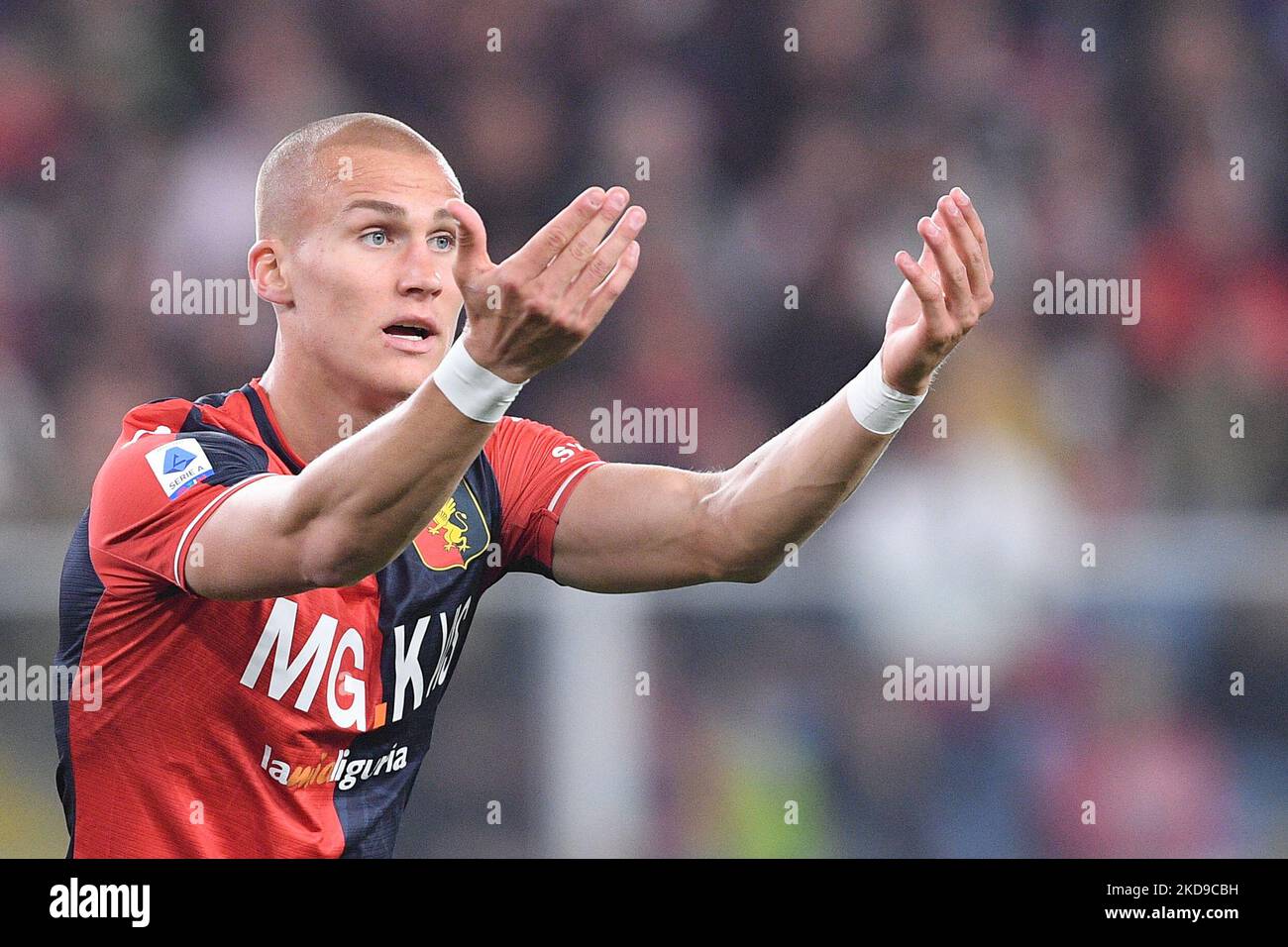 Genoa, Italy. 30 April 2022. Leo Ostigard of Genoa CFC in action during the  Serie A football match between UC Sampdoria and Genoa CFC. Credit: Nicolò  Campo/Alamy Live News Stock Photo - Alamy