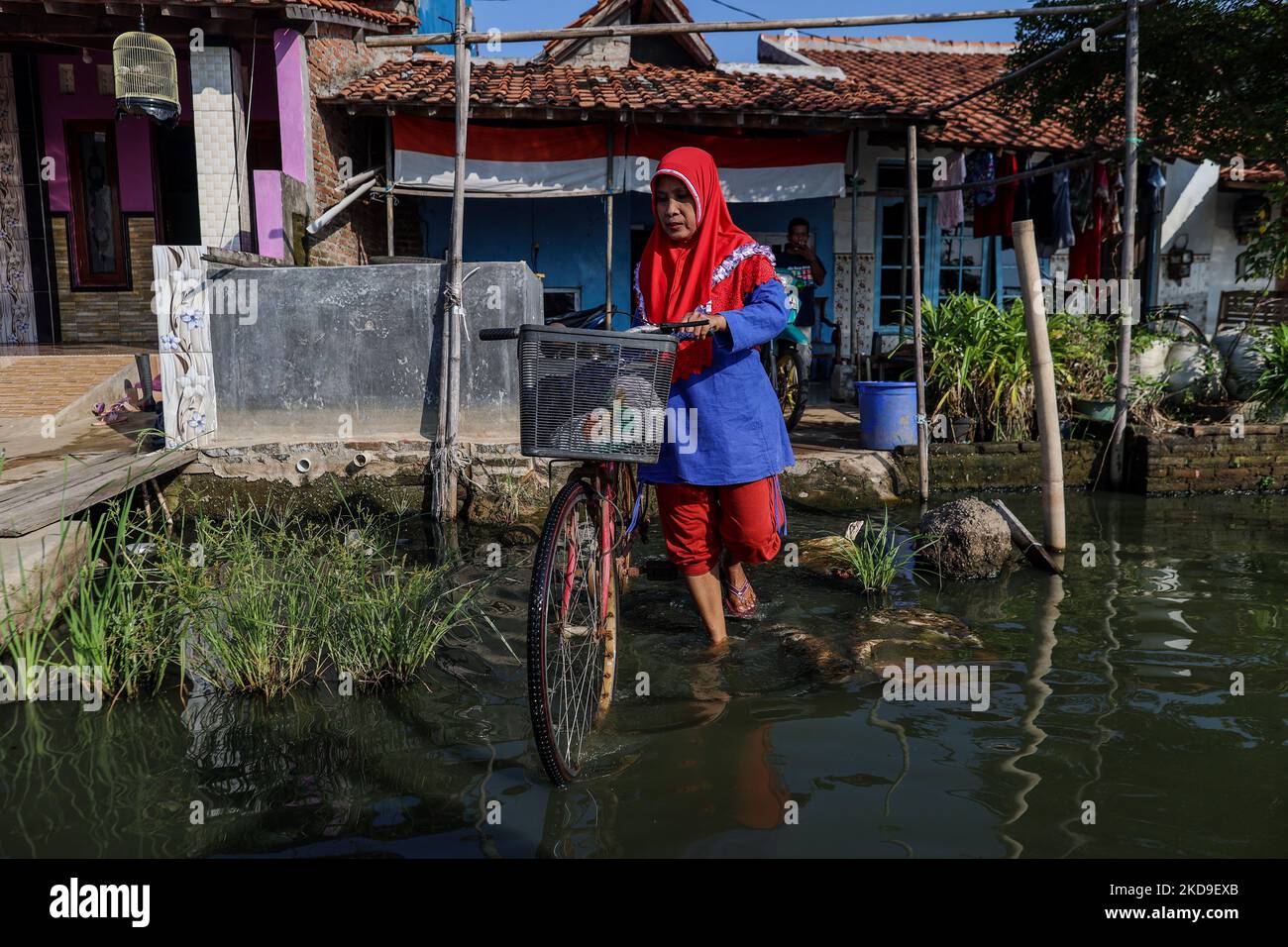 A worker with bicycle leaves her home surrounded by rising sea levels at low-lying Jeruk Sari neighborhood in coastal Pekalongan, Central Java, Indonesia, June 5, 2021. An area in which almost every available space is used for batik production, with a high level of poverty, vulnerable to both rising sea levels and high river peak flows. Pekalongan is a city known for batik, a traditional Indonesian method of using wax to resist water-based dyes to depict patterns and drawings, usually on fabric. This textile has traditionally been crafted by hand in family workshops and small-scale cottage ind Stock Photo