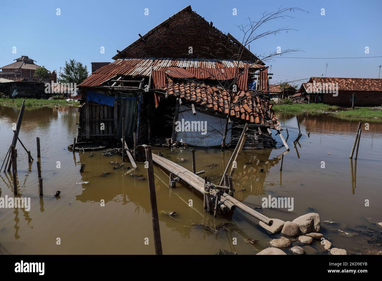 A home surrounded by rising sea levels is seen at low-lying Jeruk Sari neighborhood in coastal Pekalongan, Central Java, Indonesia, June 5, 2021. An area in which almost every available space is used for batik production, with a high level of poverty, vulnerable to both rising sea levels and high river peak flows. They hangs and washes at a polluted river for process traditional Javanese textile called Batik. Batik is a traditional Indonesian method of using wax to resist water-based dyes to depict patterns and drawings on fabric. At the heart of the problem is Pekalongan’s overreliance on gro Stock Photo