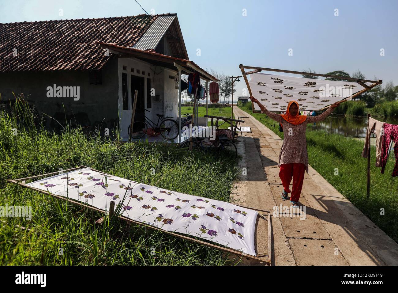 A worker dries batik after dyeing process as they make traditional Javanese textile called batik at low-lying Jeruk Sari neighborhood in coastal Pekalongan, Central Java, Indonesia, June 5, 2021. An area in which almost every available space is used for batik production, with a high level of poverty, vulnerable to both rising sea levels and high river peak flows. Pekalongan is a city known for batik, a traditional Indonesian method of using wax to resist water-based dyes to depict patterns and drawings, usually on fabric. This textile has traditionally been crafted by hand in family workshops  Stock Photo