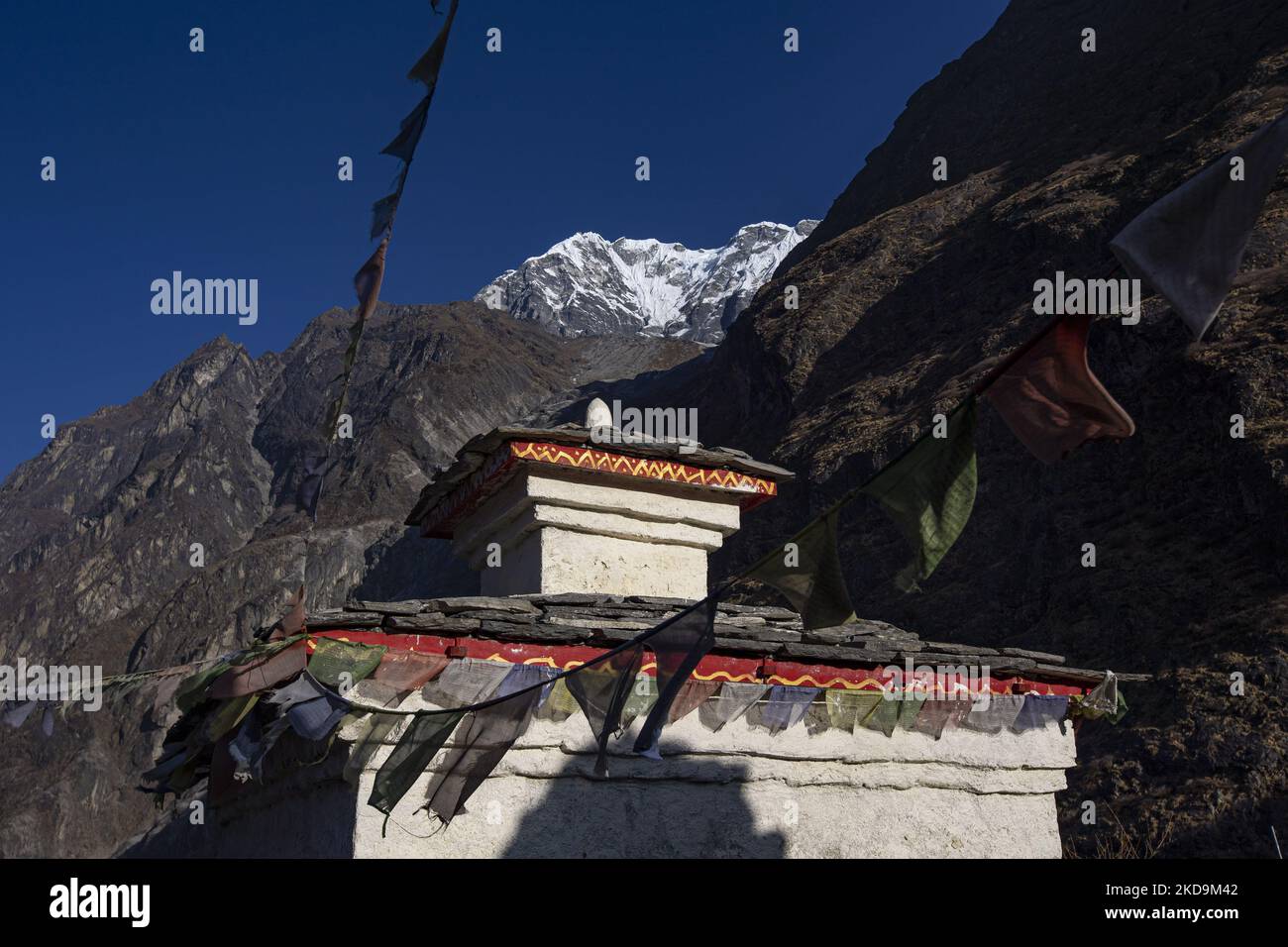 A small, antique snuff container collected in Bhutan, but of Tibetan  origin. Approximately 4 in height Stock Photo - Alamy