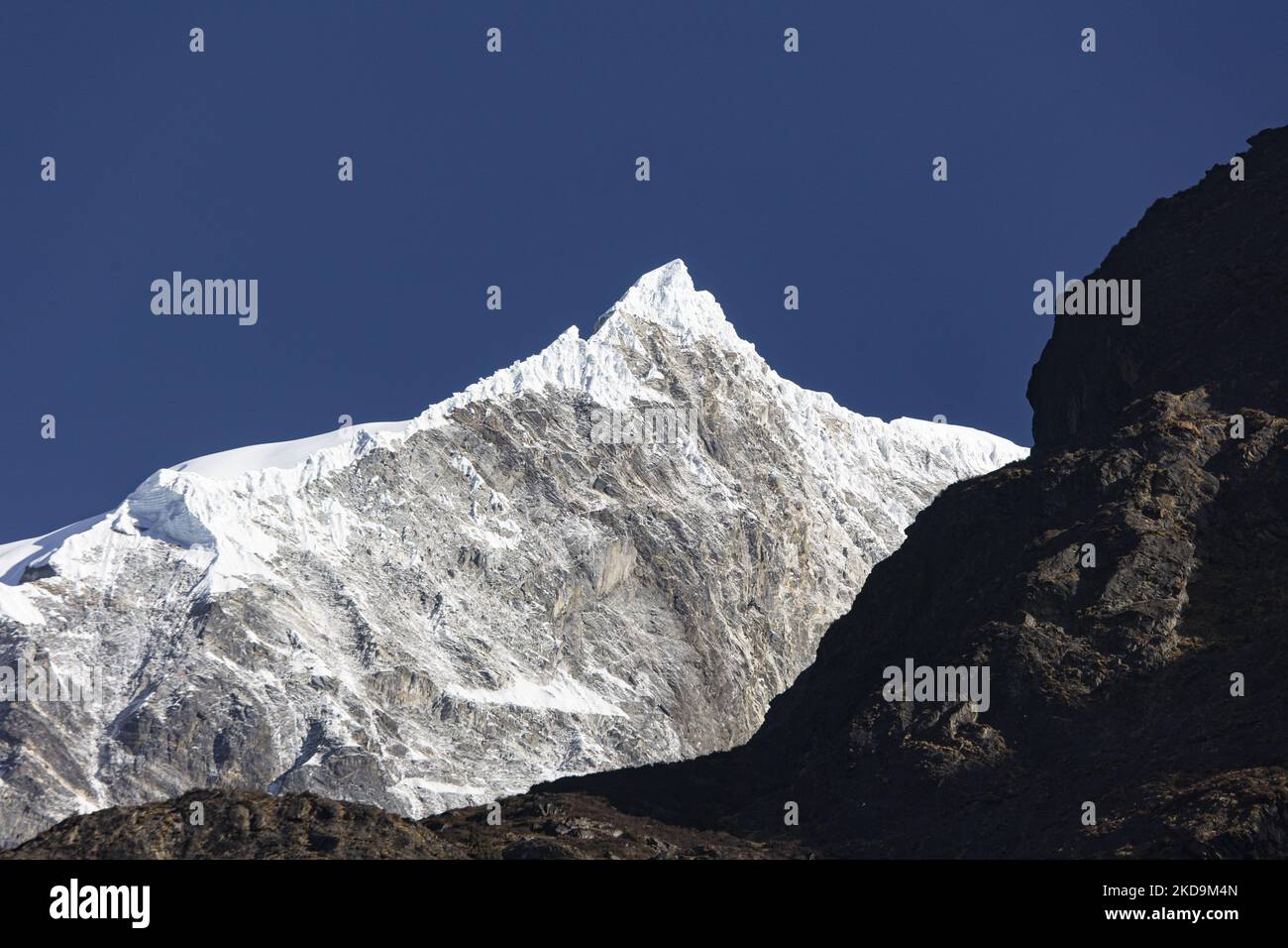 Highest earthquake magnitude in world