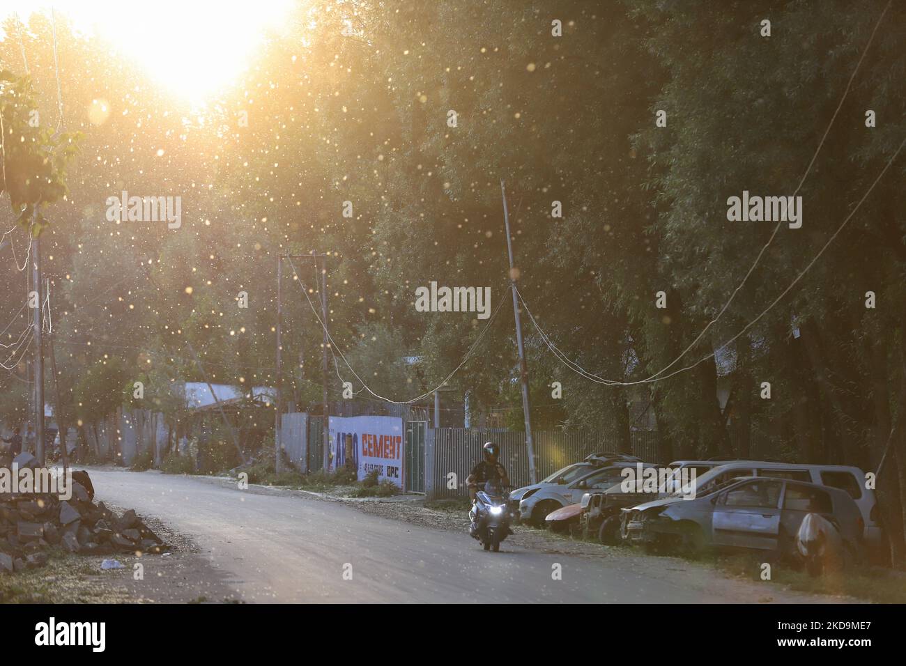 Winter pollen allergy road hi-res stock photography and images - Alamy