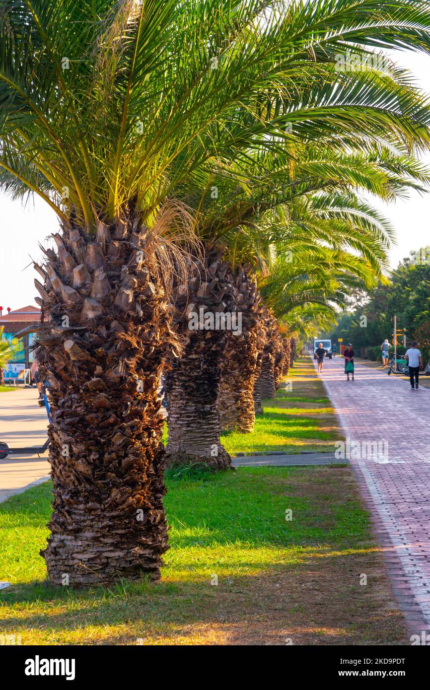 Batumi, Georgia - 30 August, 2022: Batumi seafront boulevard. Travel Stock Photo