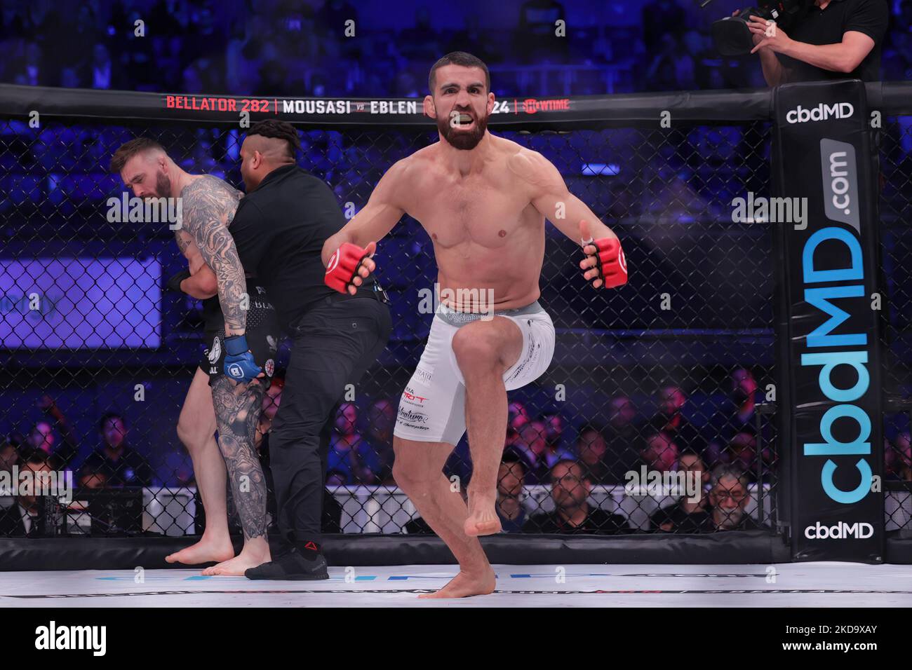 Daniel Weichel stops Robert Whiteford during the Bellator 281: MVP vs. Storley event at the SSE Arena, Wembley, London on Friday 13th May 2022. (Photo by Pat Scaasi/MI News/NurPhoto) Stock Photo