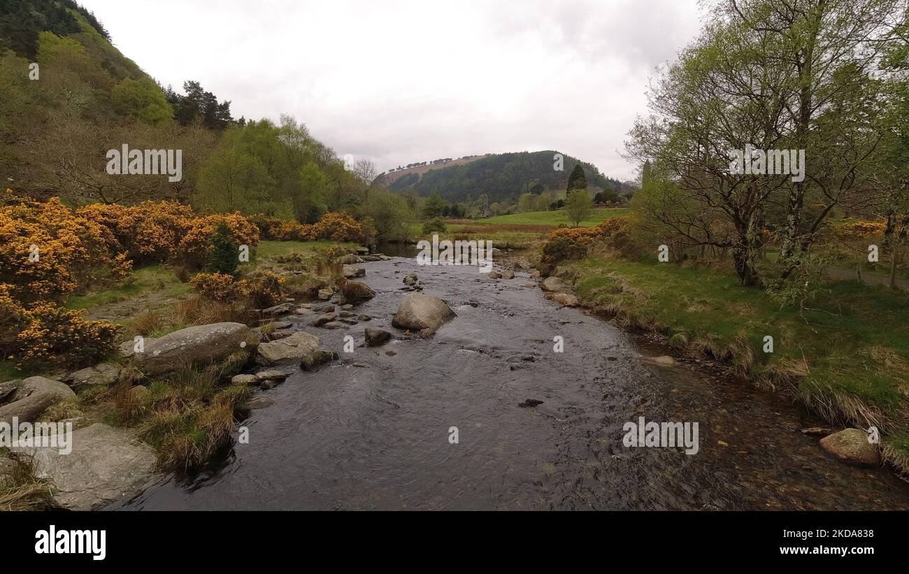 An aerial view of flowing river surrounded by dense trees Stock Photo ...