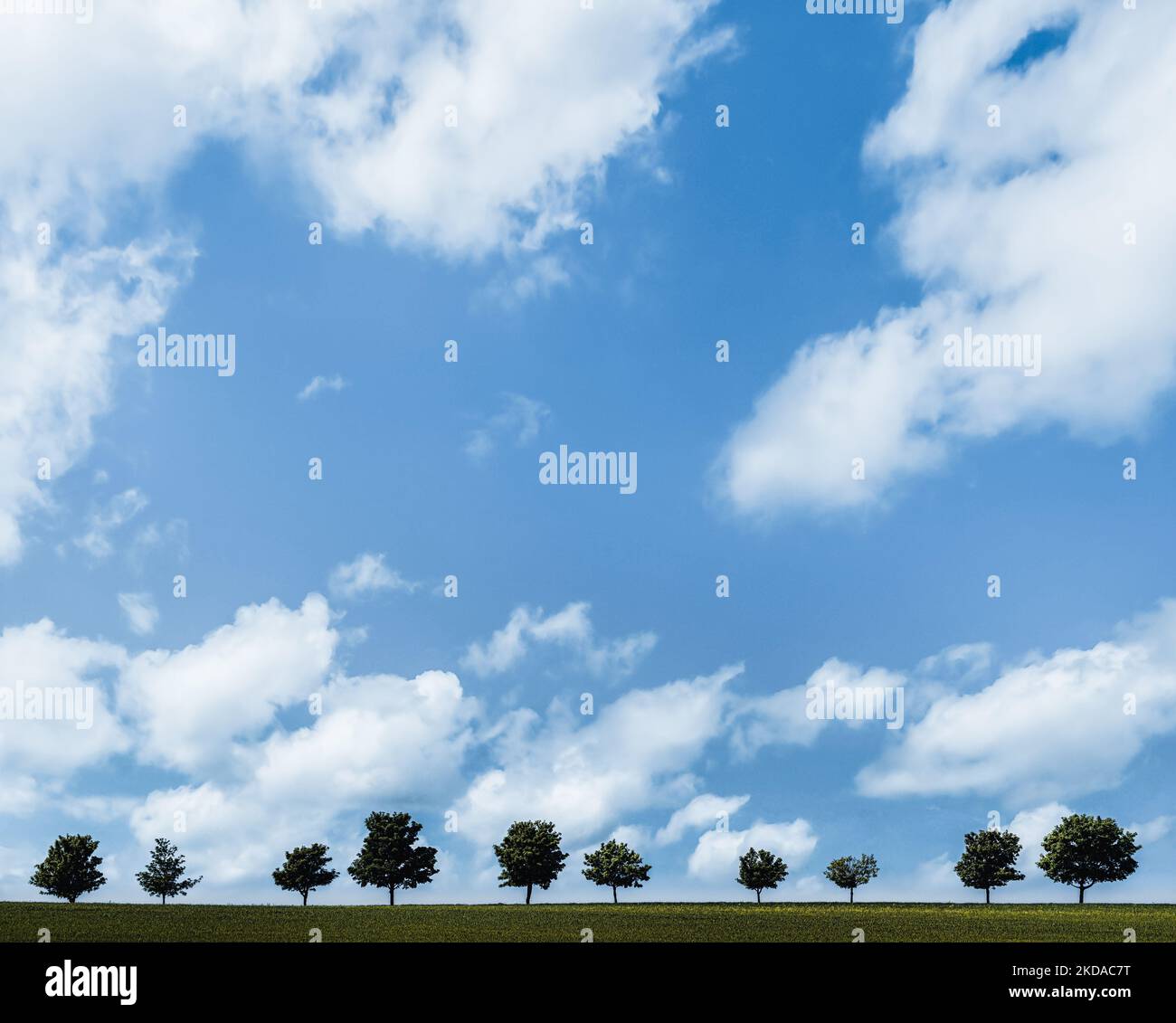 The green trees in a green field under blue sky for cool minimalistic ...