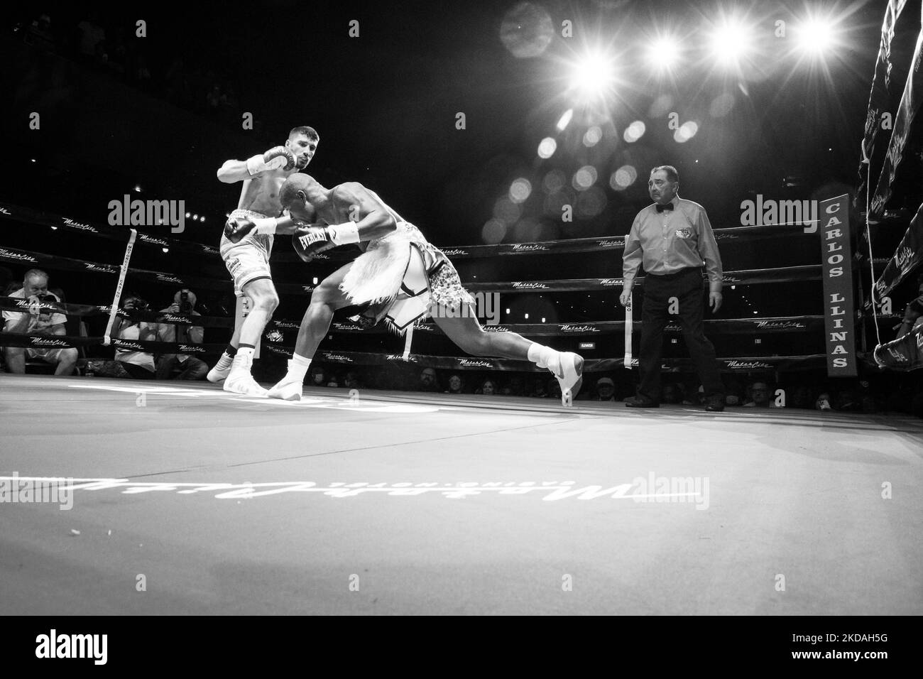 Ermal hadribeaj hires stock photography and images Alamy