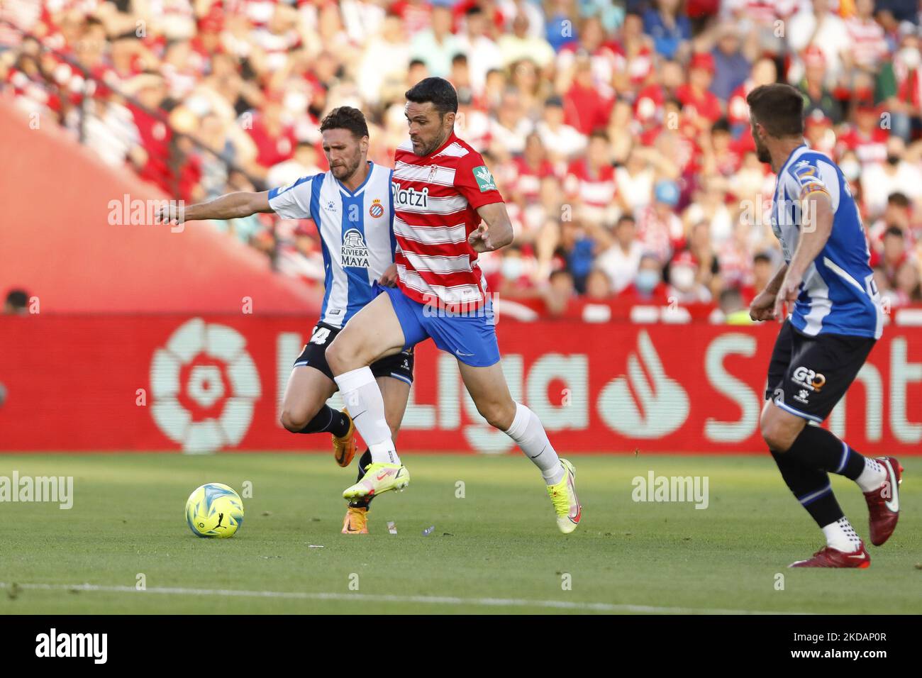 Gomez molina hi-res stock photography and images - Alamy