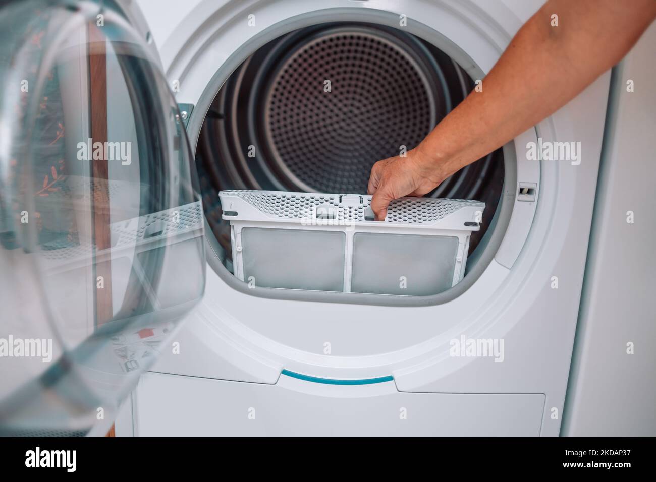 Dust and dirt trapped by the clothes dryer filter Stock Photo Alamy