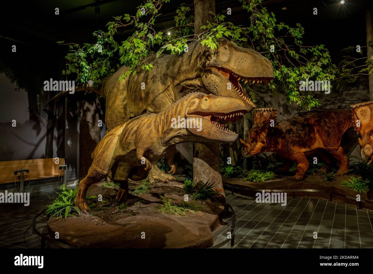 Ottawa, Ontario - October 21, 2022: Dinosaur exhibits and the Canadian Museum of Nature. Stock Photo