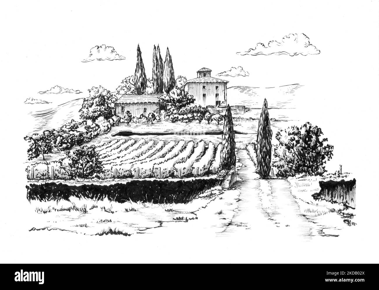 Ink drawing of a rural landscape with a vineyard. Traditional illustration on paper. Stock Photo