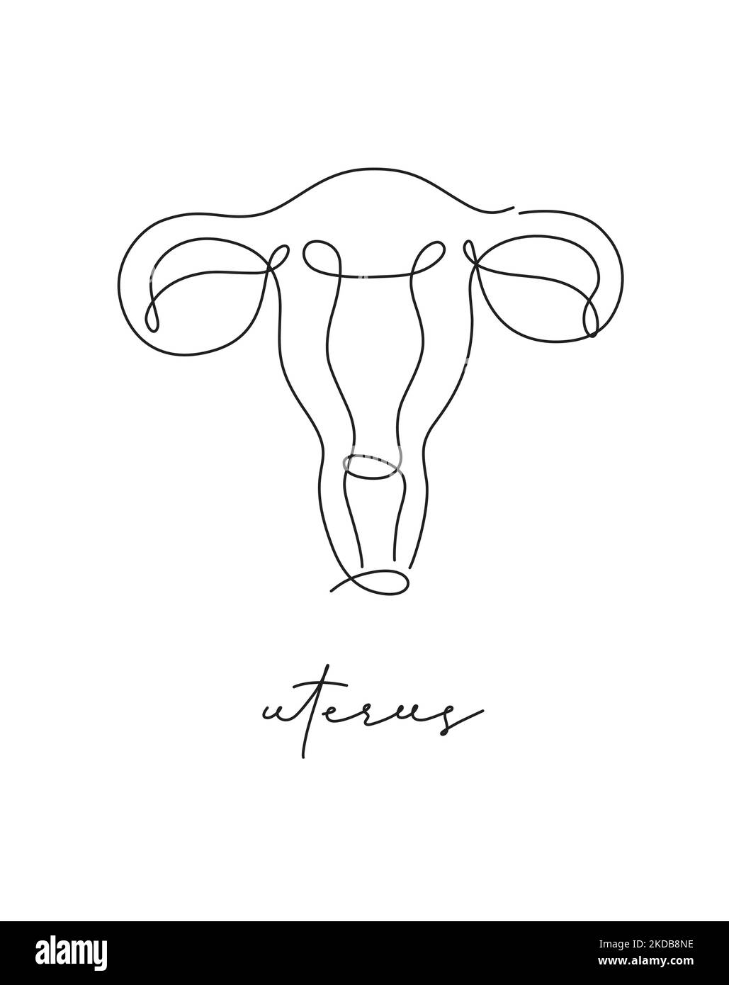 Pen line poster uterus drawing in pen line style on white background