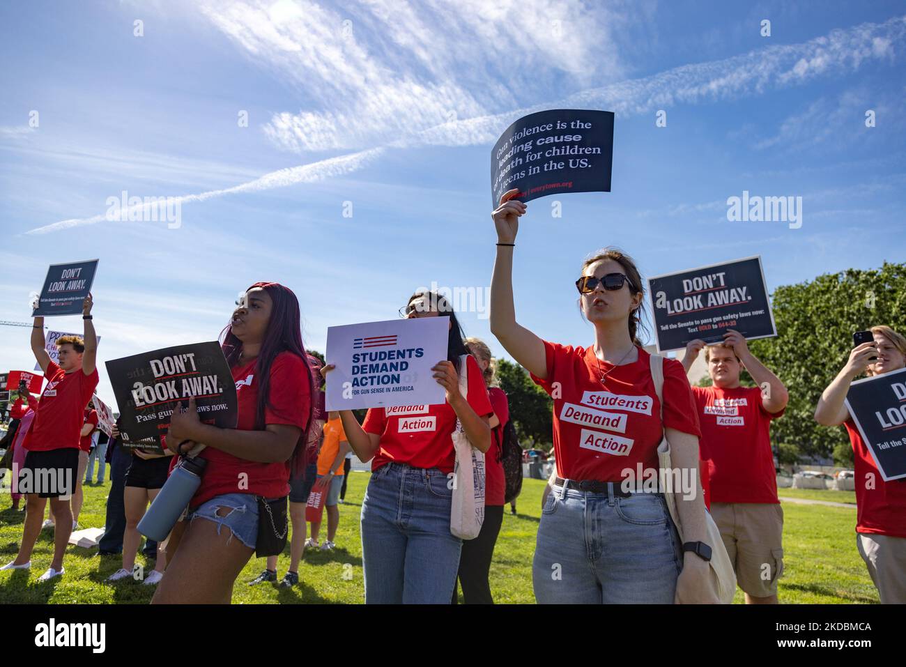 High school youth and others attend a Students Demand Action rally near ...
